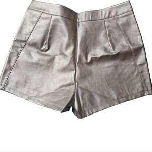 Windsor Size L Silver Shorts